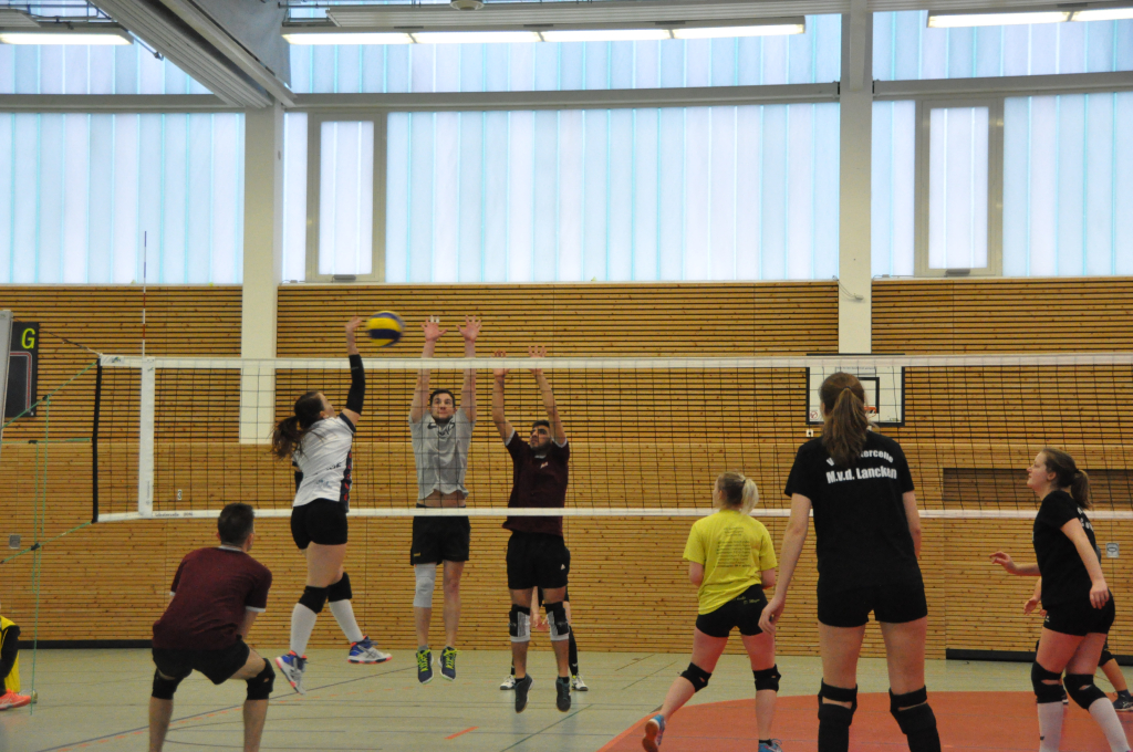 Bild 19